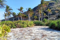 For Sale Nanga Island, Linapacan, Palawan